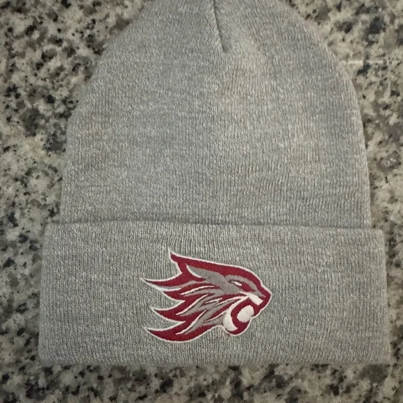 NWT Gray Beanie with Wildcat Logo - Picture 1 of 2